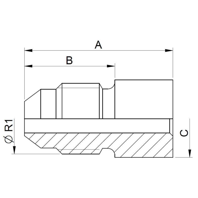 EUA14LJM-img2.jpg