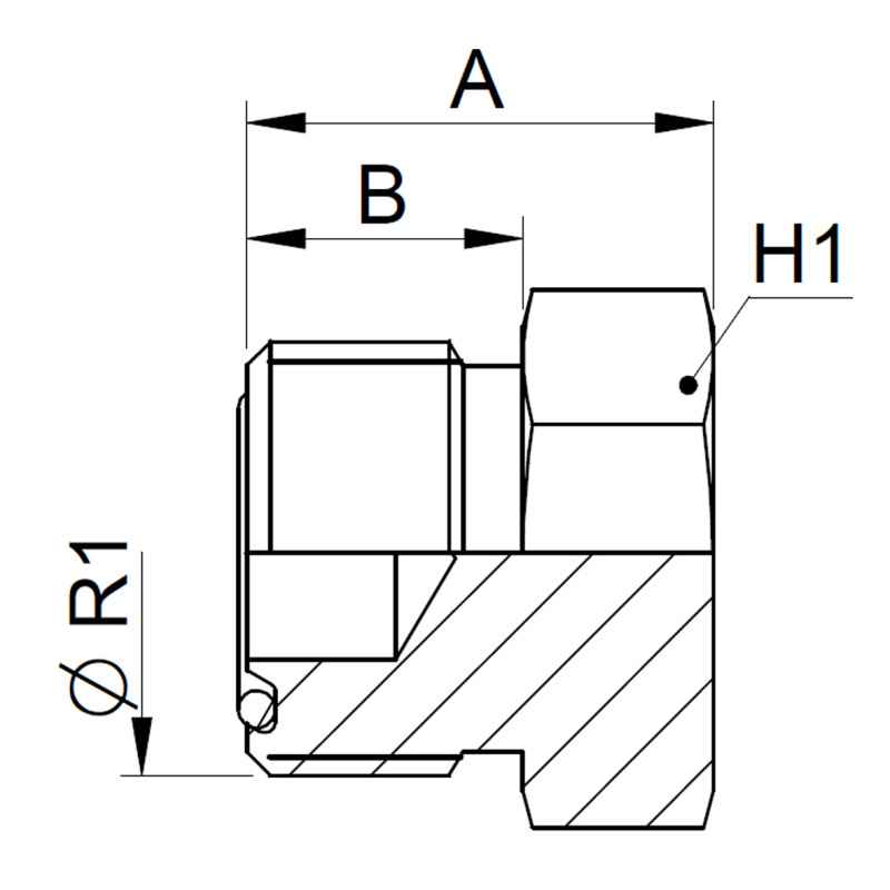 EUA16ORM-img2.jpg