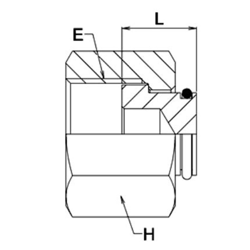 EUA27ORF-img2.jpg