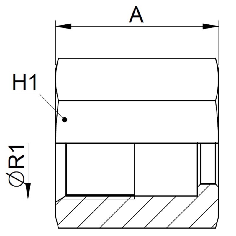 EUAAM04-img2.jpg