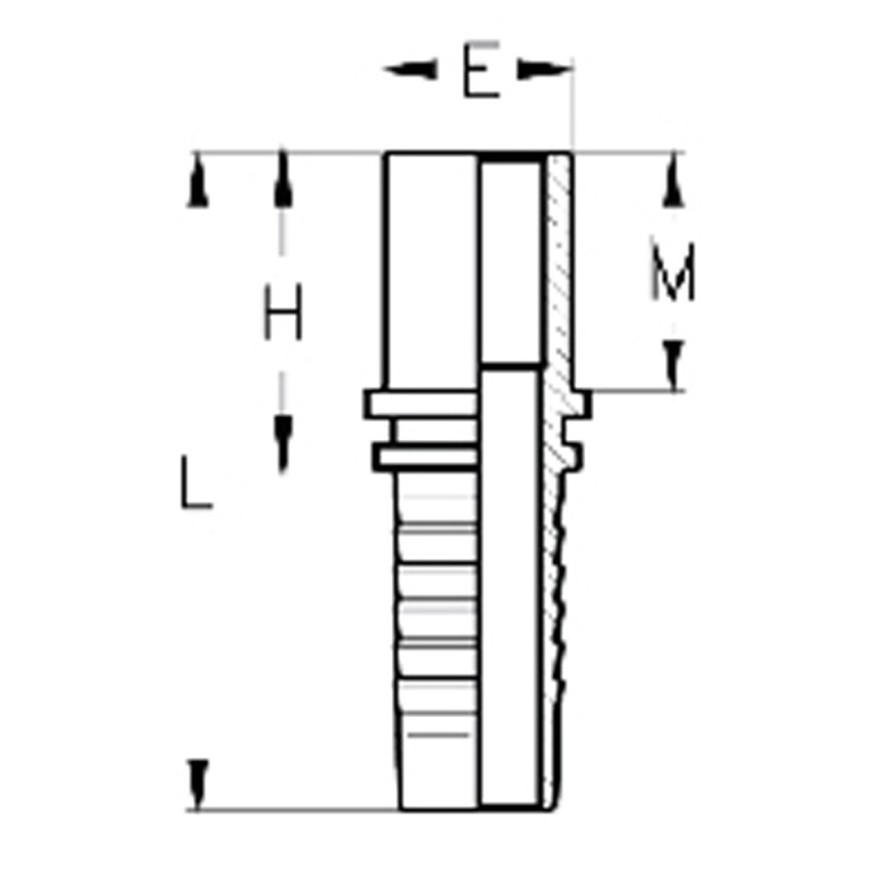 EUP10MOSE05-img2.jpg