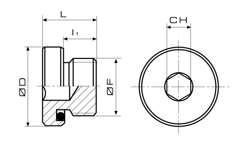 EUZVSR1-img2.jpg